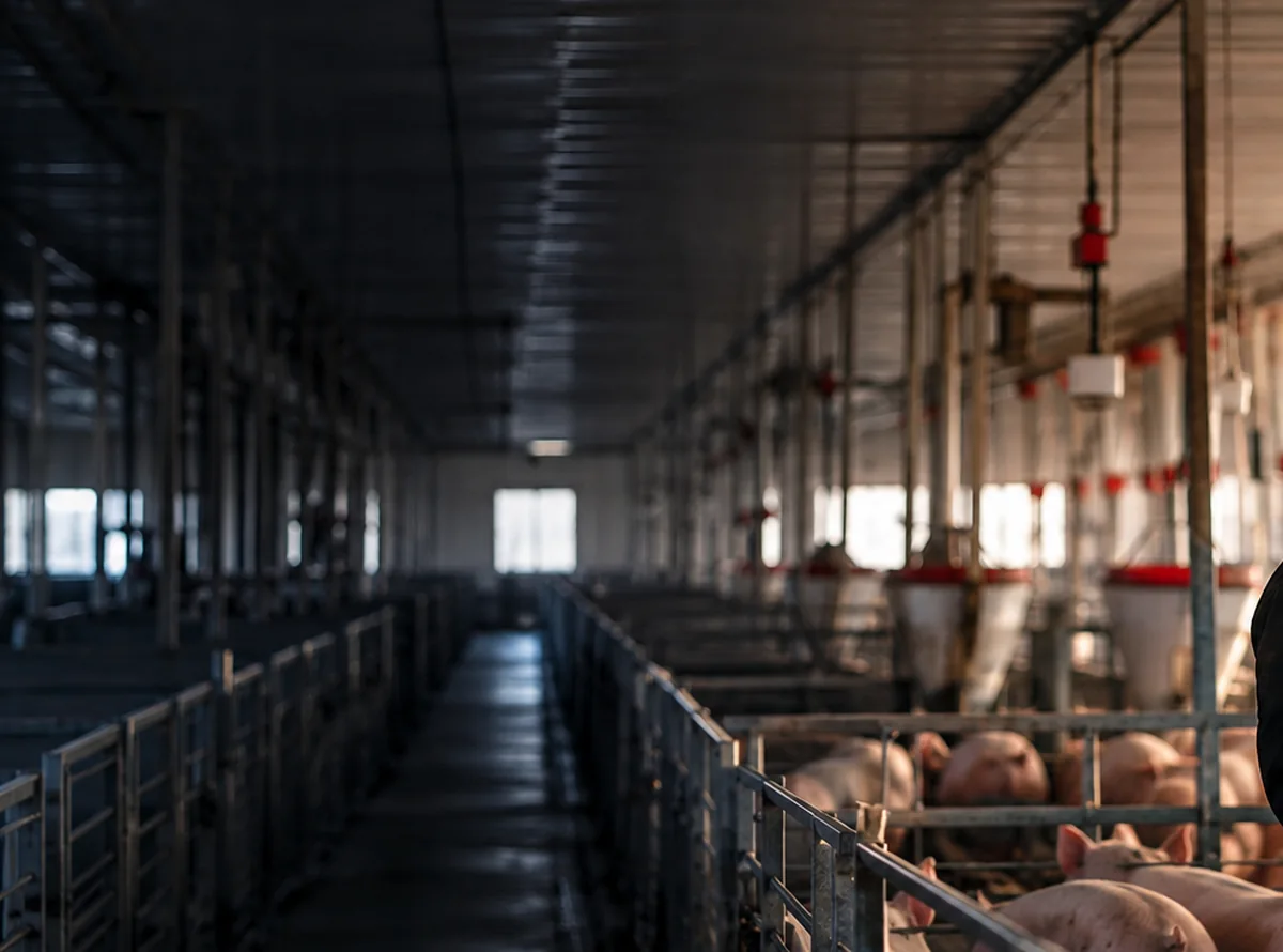 Illustrative image of a livestock barn